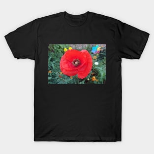 Red poppy photo T-Shirt